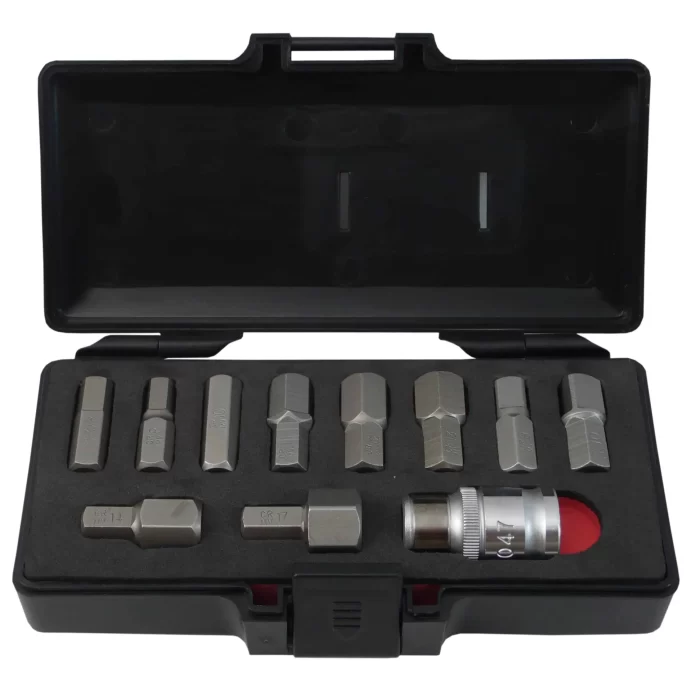 Juego Puntas Allen 8-17 Mm. C/Dado Toma (4115) Force